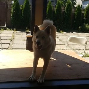 Meet your Posher, Manveer